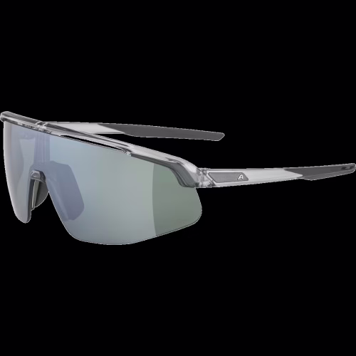 ALPINA-TURBO-PRO-Q-LITE-Sportbrille